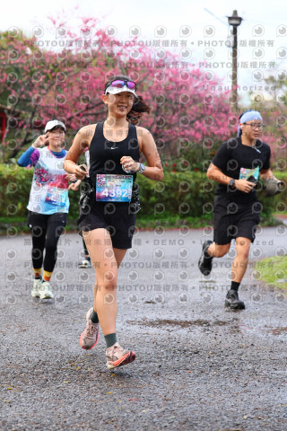 2026左岸竹東櫻花馬拉松Zhudong Sakura Marathon