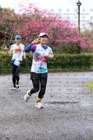 2026左岸竹東櫻花馬拉松Zhudong Sakura Marathon