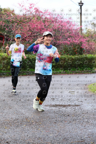 2026左岸竹東櫻花馬拉松Zhudong Sakura Marathon