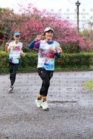 2026左岸竹東櫻花馬拉松Zhudong Sakura Marathon