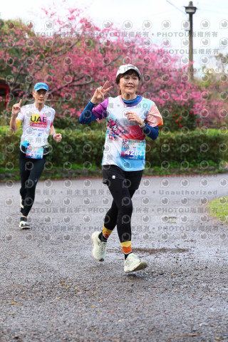 2026左岸竹東櫻花馬拉松Zhudong Sakura Marathon