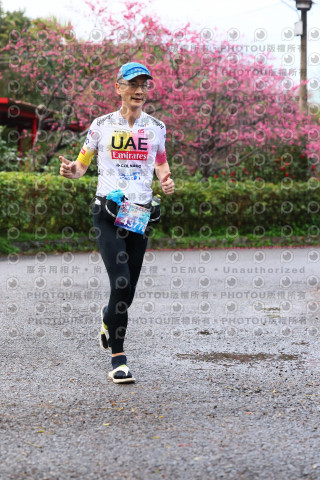 2026左岸竹東櫻花馬拉松Zhudong Sakura Marathon