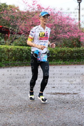 2026左岸竹東櫻花馬拉松Zhudong Sakura Marathon