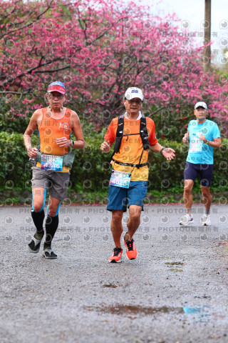 2026左岸竹東櫻花馬拉松Zhudong Sakura Marathon