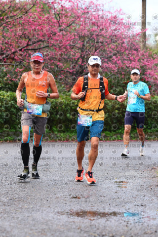 2026左岸竹東櫻花馬拉松Zhudong Sakura Marathon