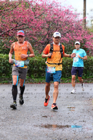 2026左岸竹東櫻花馬拉松Zhudong Sakura Marathon