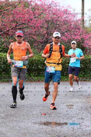 2026左岸竹東櫻花馬拉松Zhudong Sakura Marathon