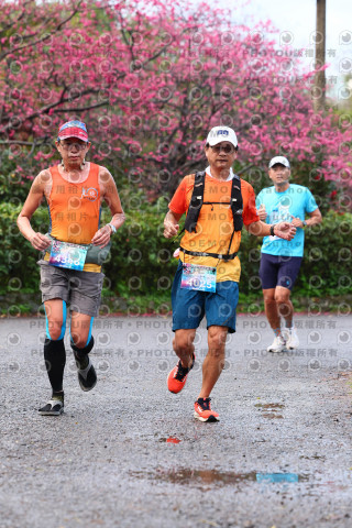 2026左岸竹東櫻花馬拉松Zhudong Sakura Marathon