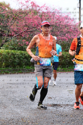 2026左岸竹東櫻花馬拉松Zhudong Sakura Marathon