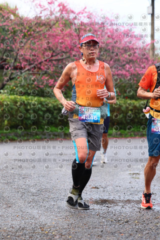 2026左岸竹東櫻花馬拉松Zhudong Sakura Marathon