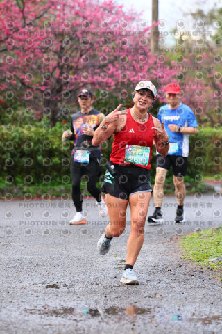 2026左岸竹東櫻花馬拉松Zhudong Sakura Marathon