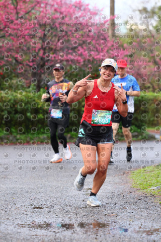 2026左岸竹東櫻花馬拉松Zhudong Sakura Marathon