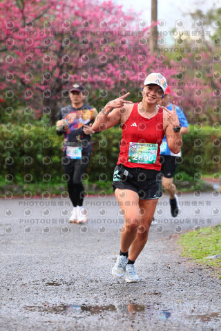 2026左岸竹東櫻花馬拉松Zhudong Sakura Marathon