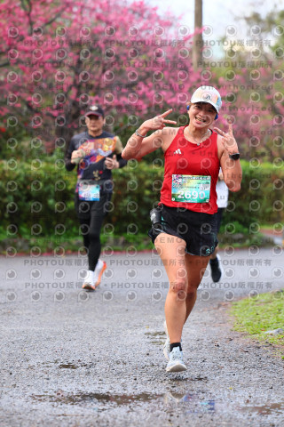 2026左岸竹東櫻花馬拉松Zhudong Sakura Marathon
