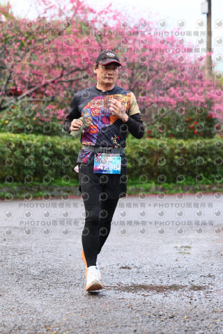 2026左岸竹東櫻花馬拉松Zhudong Sakura Marathon