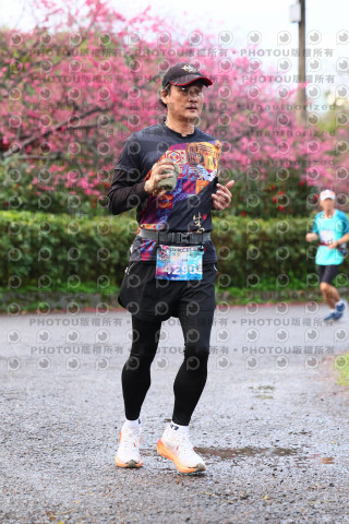 2026左岸竹東櫻花馬拉松Zhudong Sakura Marathon