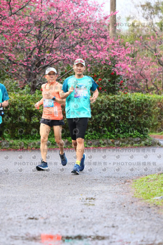 2026左岸竹東櫻花馬拉松Zhudong Sakura Marathon