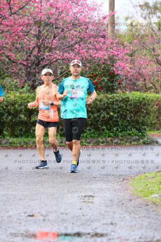 2026左岸竹東櫻花馬拉松Zhudong Sakura Marathon