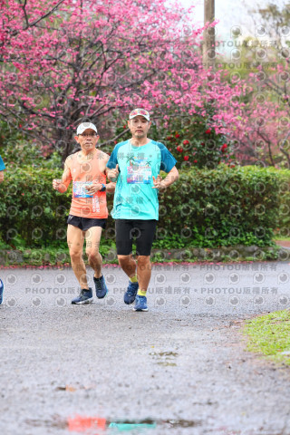 2026左岸竹東櫻花馬拉松Zhudong Sakura Marathon