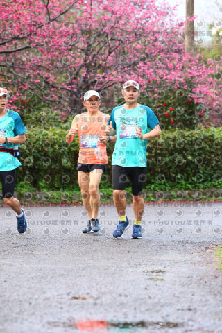2026左岸竹東櫻花馬拉松Zhudong Sakura Marathon