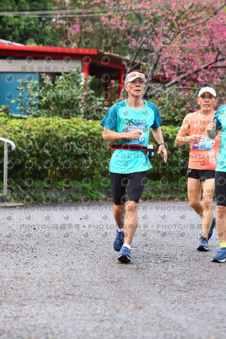 2026左岸竹東櫻花馬拉松Zhudong Sakura Marathon