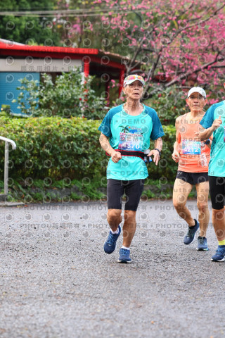 2026左岸竹東櫻花馬拉松Zhudong Sakura Marathon