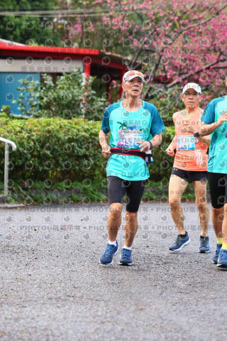 2026左岸竹東櫻花馬拉松Zhudong Sakura Marathon