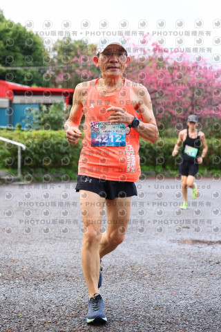 2026左岸竹東櫻花馬拉松Zhudong Sakura Marathon