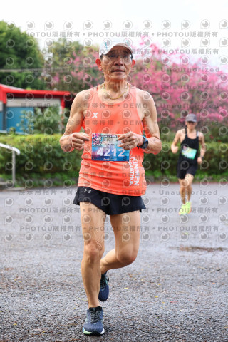 2026左岸竹東櫻花馬拉松Zhudong Sakura Marathon