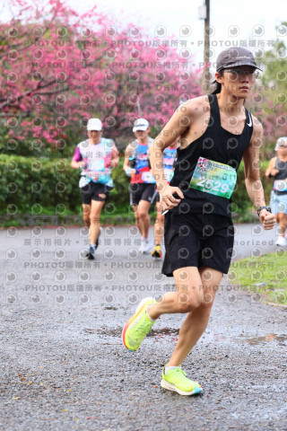 2026左岸竹東櫻花馬拉松Zhudong Sakura Marathon