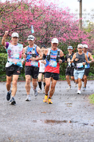 2026左岸竹東櫻花馬拉松Zhudong Sakura Marathon