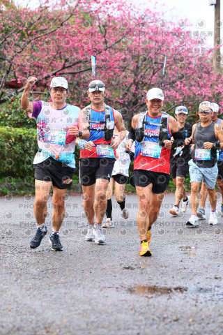 2026左岸竹東櫻花馬拉松Zhudong Sakura Marathon