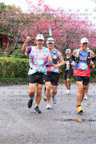 2026左岸竹東櫻花馬拉松Zhudong Sakura Marathon