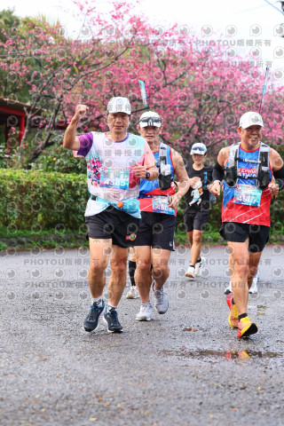 2026左岸竹東櫻花馬拉松Zhudong Sakura Marathon