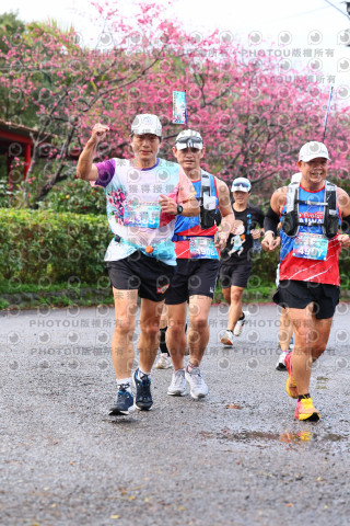 2026左岸竹東櫻花馬拉松Zhudong Sakura Marathon