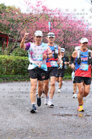 2026左岸竹東櫻花馬拉松Zhudong Sakura Marathon