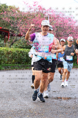 2026左岸竹東櫻花馬拉松Zhudong Sakura Marathon