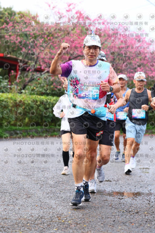 2026左岸竹東櫻花馬拉松Zhudong Sakura Marathon
