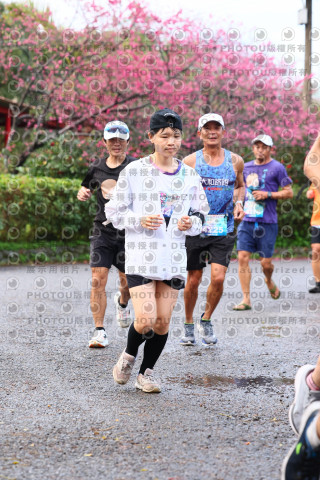 2026左岸竹東櫻花馬拉松Zhudong Sakura Marathon