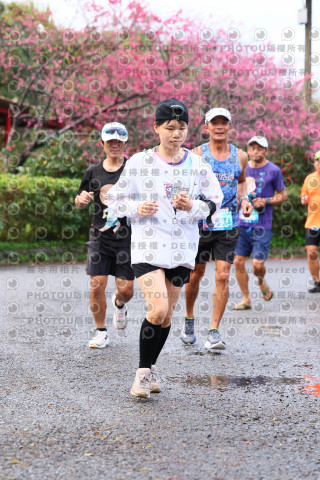 2026左岸竹東櫻花馬拉松Zhudong Sakura Marathon
