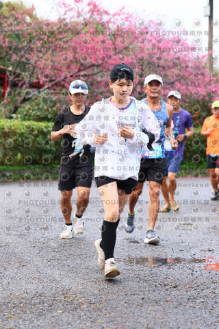 2026左岸竹東櫻花馬拉松Zhudong Sakura Marathon