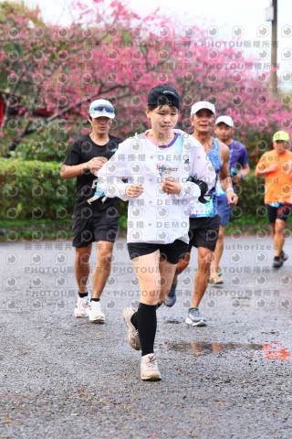 2026左岸竹東櫻花馬拉松Zhudong Sakura Marathon