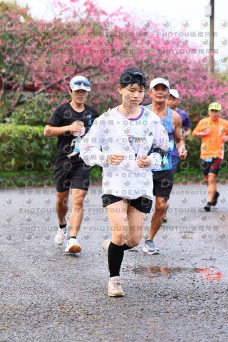2026左岸竹東櫻花馬拉松Zhudong Sakura Marathon