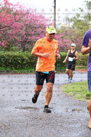 2026左岸竹東櫻花馬拉松Zhudong Sakura Marathon
