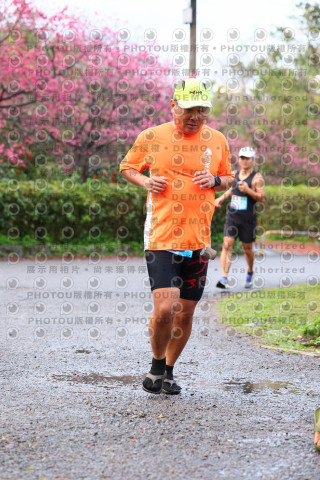 2026左岸竹東櫻花馬拉松Zhudong Sakura Marathon