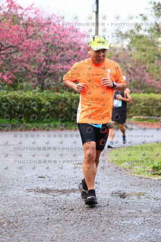 2026左岸竹東櫻花馬拉松Zhudong Sakura Marathon