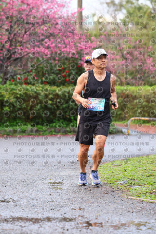 2026左岸竹東櫻花馬拉松Zhudong Sakura Marathon