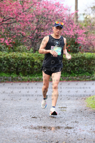 2026左岸竹東櫻花馬拉松Zhudong Sakura Marathon