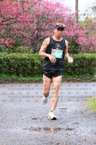 2026左岸竹東櫻花馬拉松Zhudong Sakura Marathon