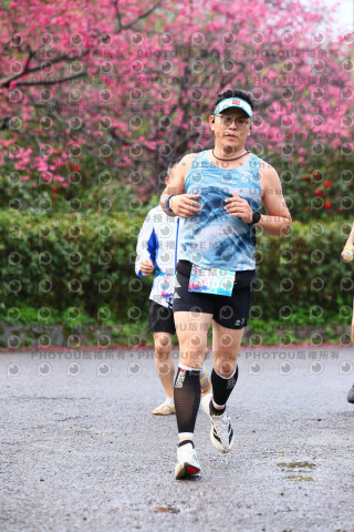 2026左岸竹東櫻花馬拉松Zhudong Sakura Marathon